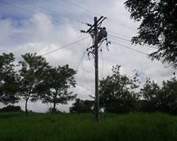 Energía de Pereira Remodela las Redes Eléctricas del Sector de Cedralito - La Florida y Chepapú Vía a Cerritos