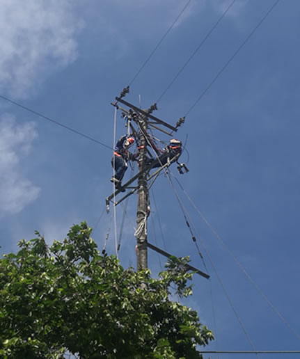 Energía de Pereira invierte más de 6 mil millones de pesos en remodelación de su infraestructura eléctrica